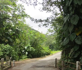 Guateloupe (120)
