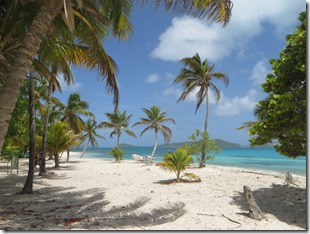 Tobago Cays (29)