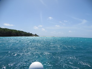 Tobago Cays (7)