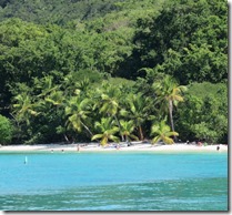 Cruz Bay Salomon Beach (3)