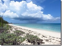 Green Turtle Cay (61)