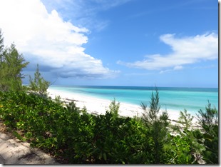 Green Turtle Cay (64)