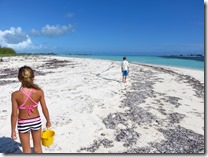 Green Turtle Cay (7)